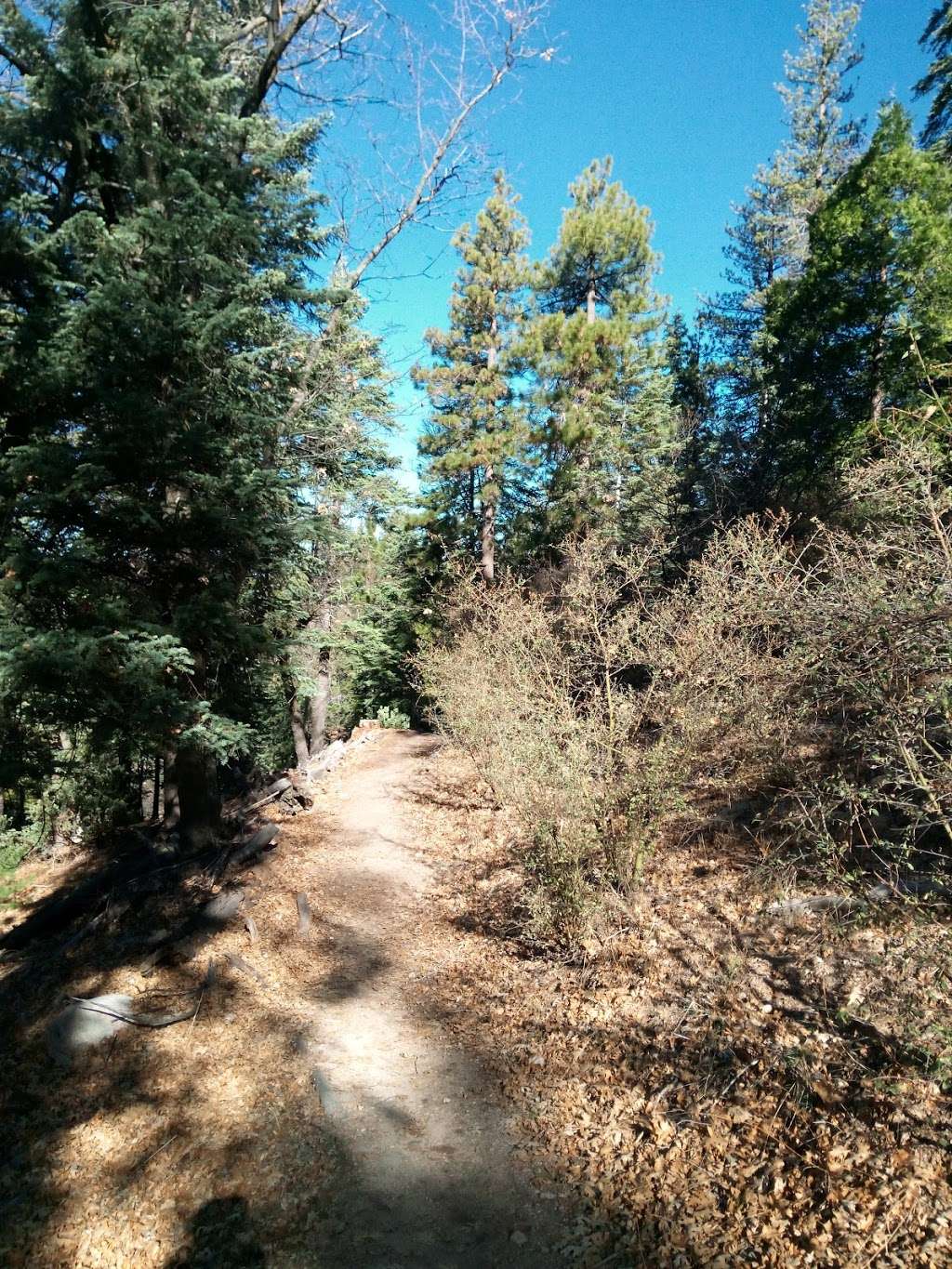 Will Abell Memorial Trail at Arrowhead Ridge | Lake Arrowhead, CA 92352, USA