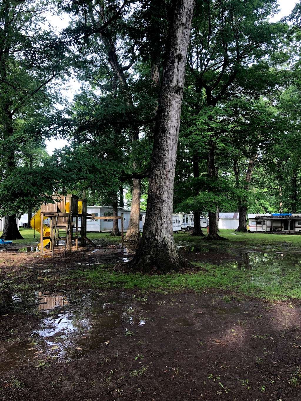 Woodland Family Camp | 12056 N Cr 300, Alexandria, IN 46001, USA