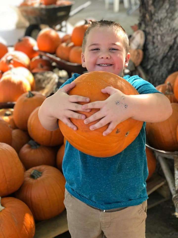 Heavenly Harvest Pumpkin Patch | 1168 Wood St, Taft, CA 93268, USA | Phone: (661) 747-3775