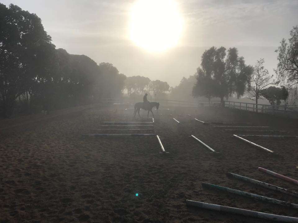 Carol Shuttleworth, Realtor California Equestrian Properties | 2267 Country Creek Rd, San Marcos, CA 92069, USA | Phone: (760) 522-2267