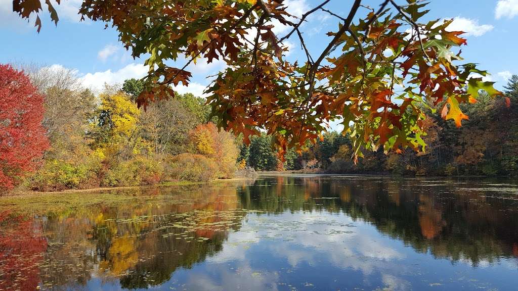 Russell Mill Pond and Town Forest | 105 Mill Rd, Chelmsford, MA 01824, USA