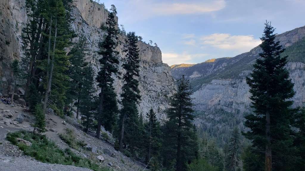 Mary Jane Falls Trail Head | 6-34 Kyle Canyon Rd, Mt Charleston, NV 89124, USA | Phone: (702) 872-5486