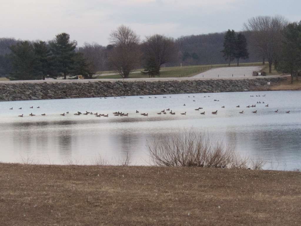 Long Arm Dam Breast Parking Lot | 1719-1799 Westminster Rd, Hanover, PA 17331, USA