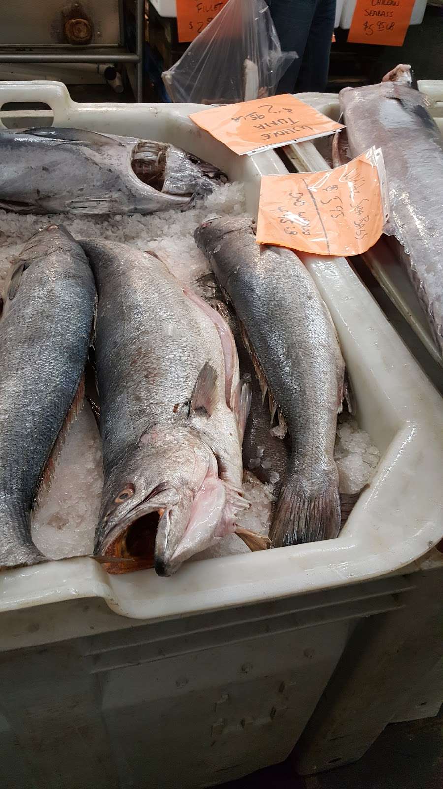 Saturday morning fish market | 2200 Signal Pl, San Pedro, CA 90731, USA | Phone: (310) 831-5655