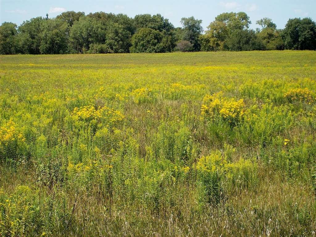 Midewin National Tallgrass Prairie | 30239 IL-53, Wilmington, IL 60481, USA | Phone: (815) 423-6370