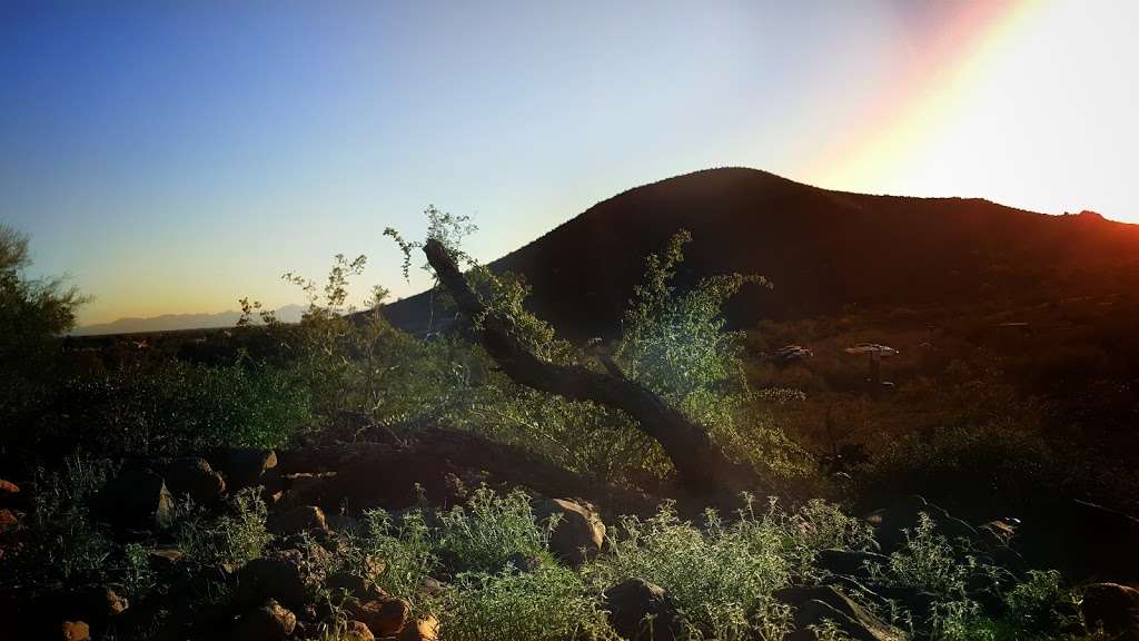 Thunderbird conservation Park | Cholla Loop, Glendale, AZ 85310, USA