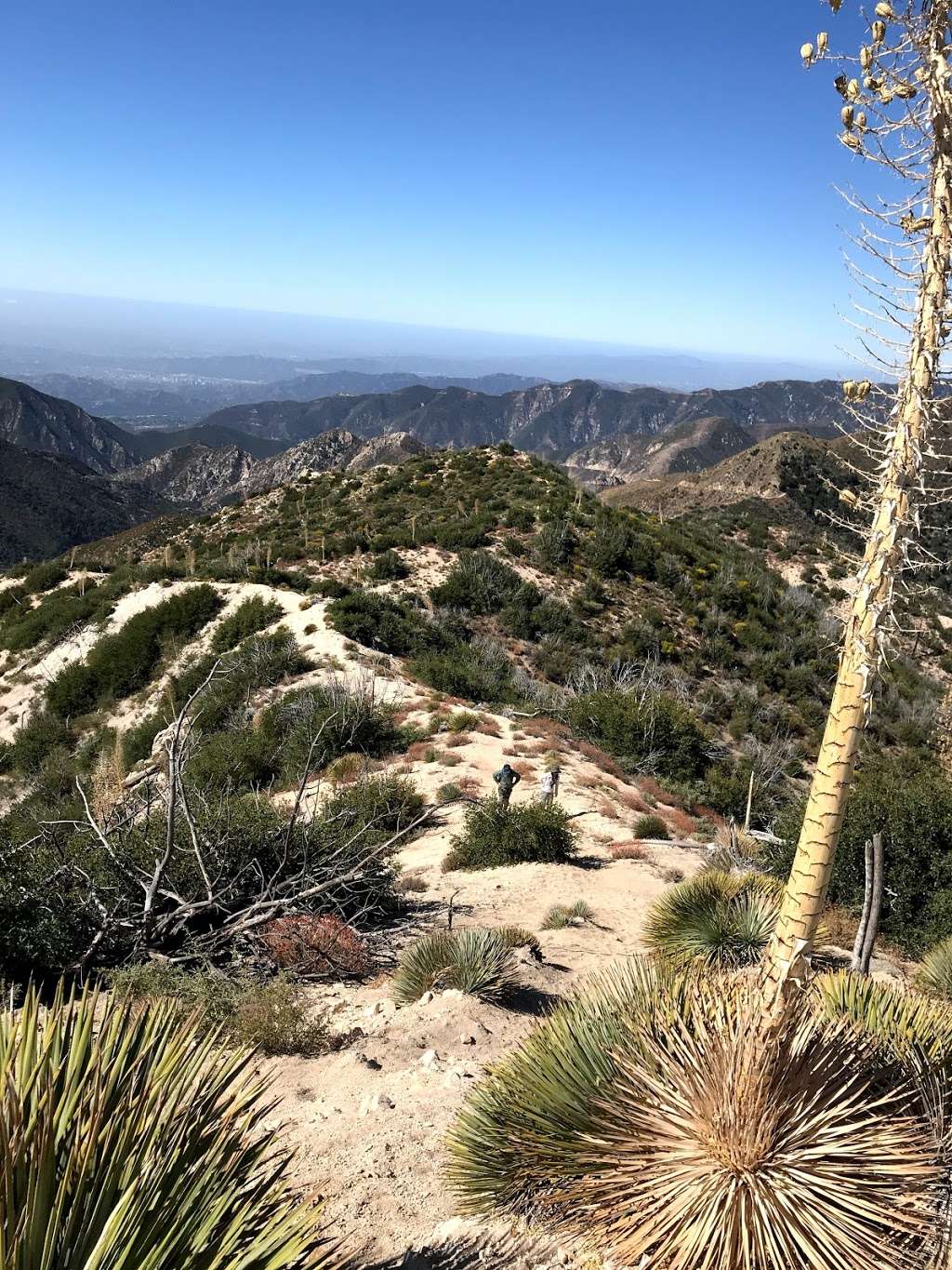 Strawberry peak west ridge | Colby Cyn Trail, Palmdale, CA 93550, USA