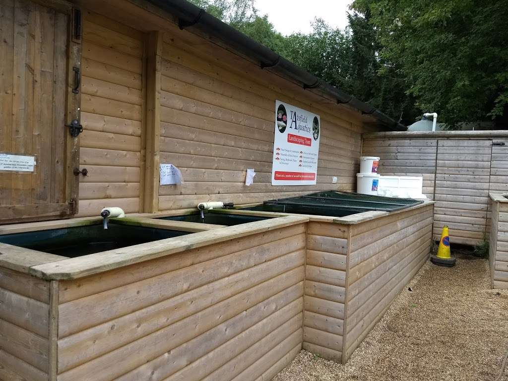 Tatsfields Aquatics Ltd | Waylands Farm/Tatsfield Approach Rd, Tatsfield, Westerham TN16 2JT, UK | Phone: 01959 571828