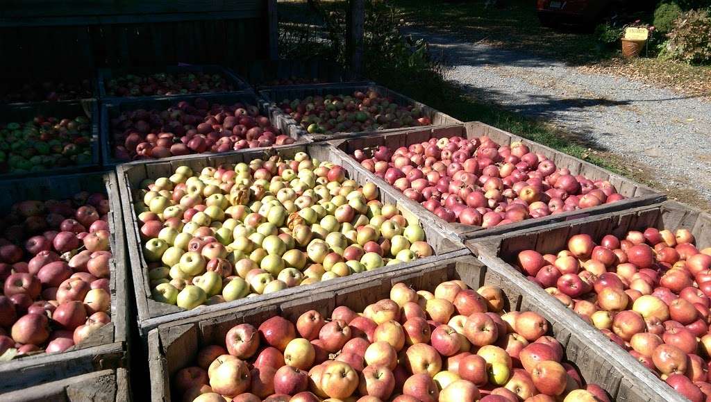Hacklebarney Farms Cider Mill | 104 State Park Rd, Chester, NJ 07930, USA | Phone: (908) 879-6593