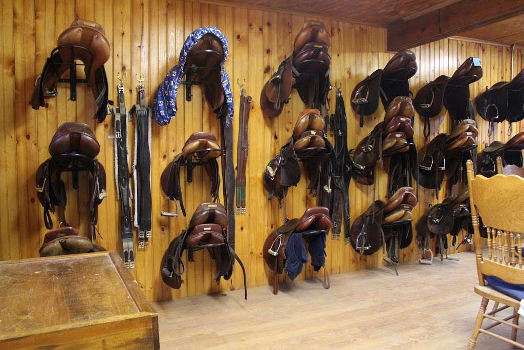 South Horse Stables | 120 Cottage Ave Suite A, Purchase, NY 10577 | Phone: (917) 421-9787