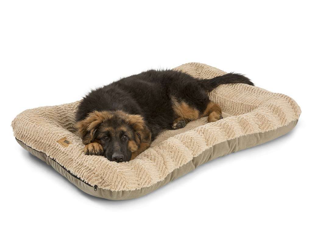 PetProductDelivery.com | This is not a physical location, The Woodlands, TX 77382, United States | Phone: (832) 549-1730
