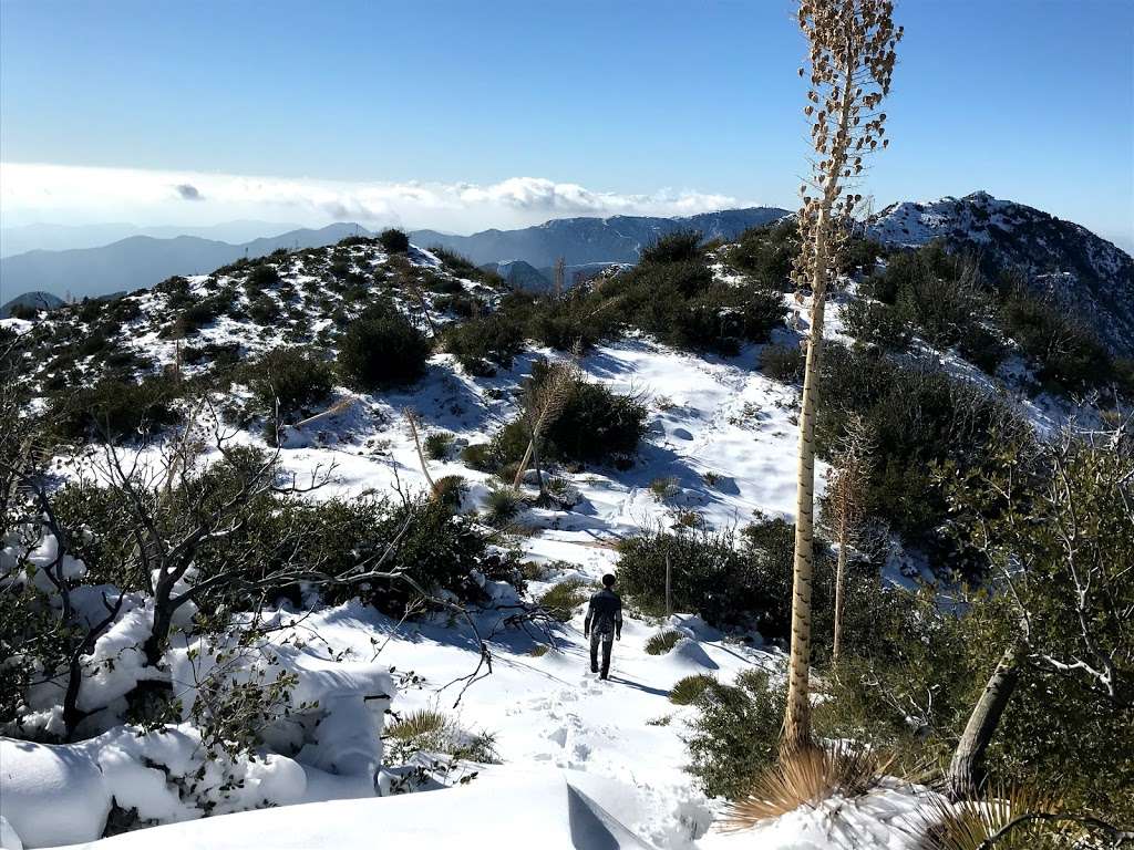 Strawberry peak west ridge | Colby Cyn Trail, Palmdale, CA 93550, USA