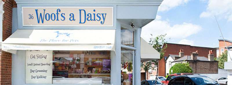 Woofs A Daisy | 36 Coombe Rd, Kingston upon Thames KT2 7AG, UK | Phone: 020 8549 3469