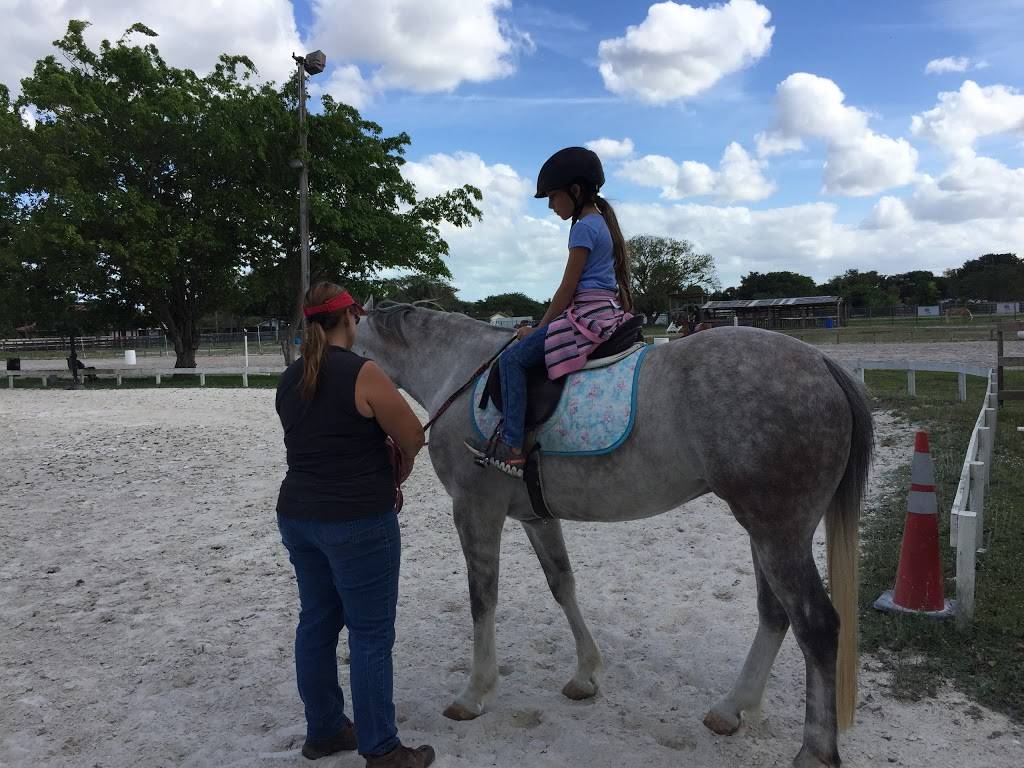 305 Equestrian Center | 6201 SW 122nd Ave, Miami, FL 33183 | Phone: (305) 900-3429