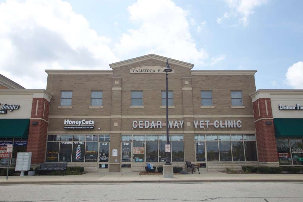 Cedar Way Veterinary Clinic | 2041 Calistoga Dr, New Lenox, IL 60451, USA | Phone: (815) 462-7387