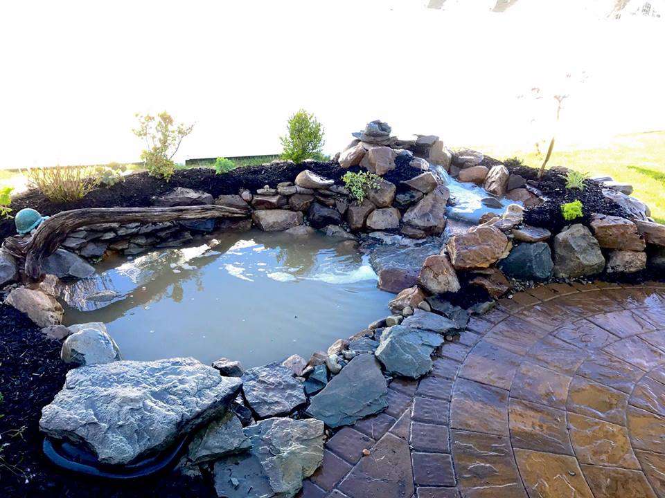 Albanese Garden Center Landscape and Aquatic Design | 260 E Moorestown Rd, Wind Gap, PA 18091, USA | Phone: (610) 759-4699