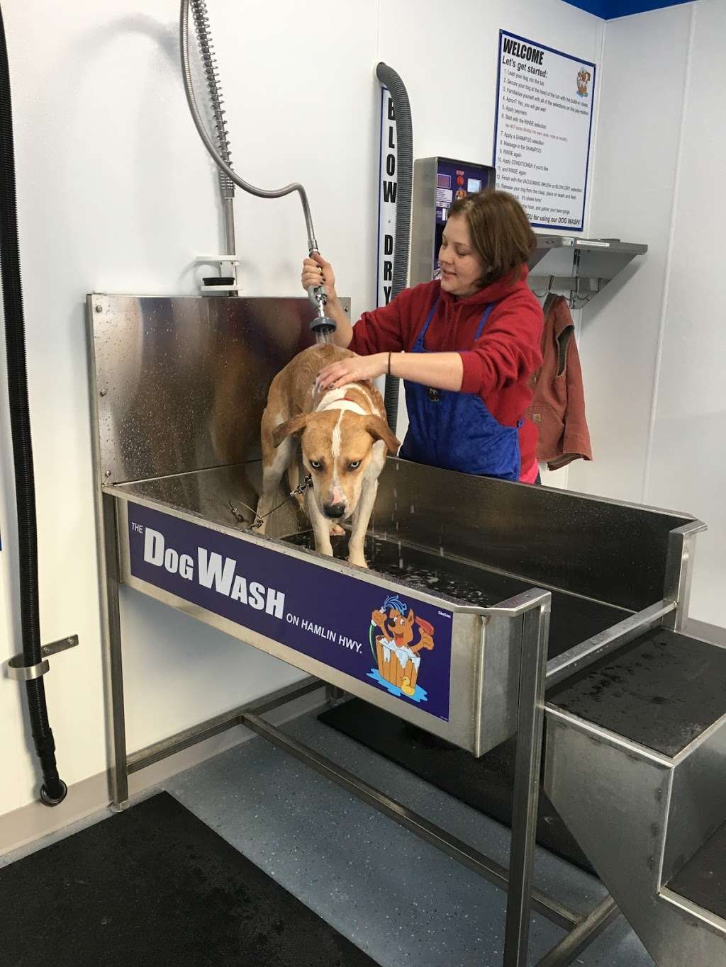 the DOG WASH Too... | 1126 Hamlin Hwy, Lake Ariel, PA 18436, USA | Phone: (570) 698-5211