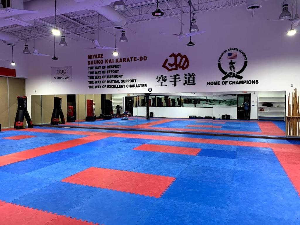 Champion Karate Academy | 2010 Market Pl Blvd, Irving, TX 75063, USA | Phone: (469) 620-3354