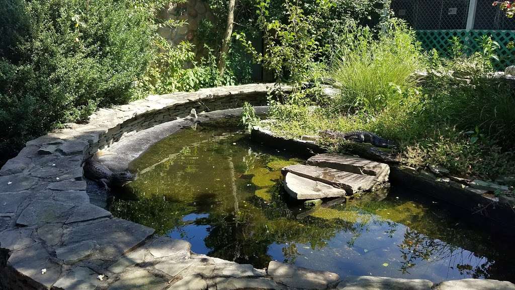 Popcorn Park Zoo | 1 Humane Way, Forked River, NJ 08731, USA | Phone: (609) 693-1900