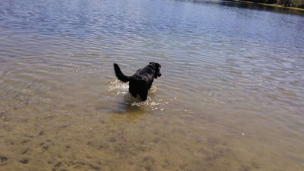 Nashoba Brook Watershed Trails | 7 Trailside Way, Westford, MA 01886, USA