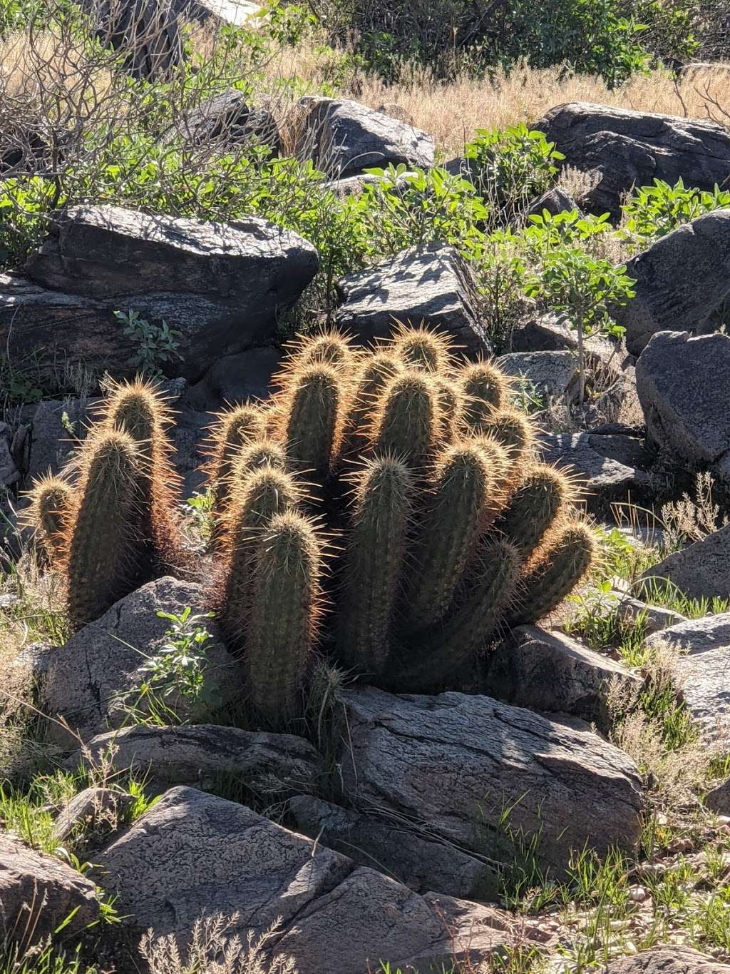 McDowell Sonoran Preserve Gateway Trail | 18333 N Thompson Peak Pkwy, Scottsdale, AZ 85255, USA | Phone: (480) 312-7013