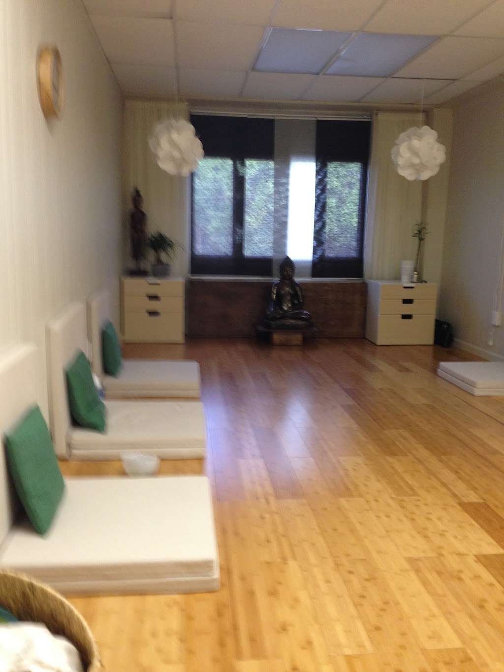 Charlotte Meditation | 725 Providence Rd #300, Charlotte, NC 28207, USA | Phone: (704) 277-6049