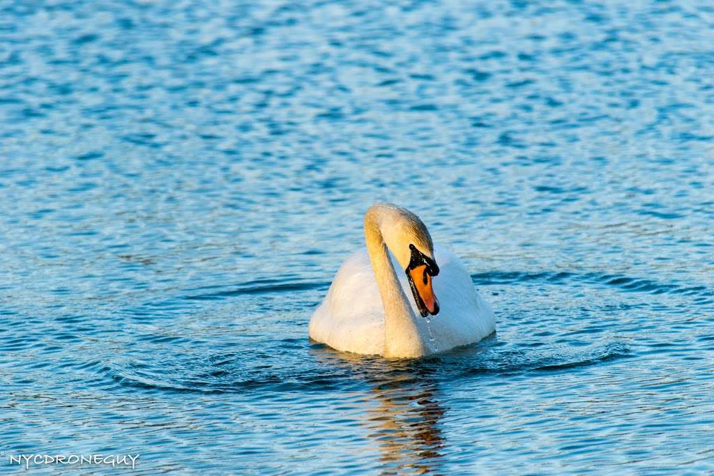 Hempstead Lake State Park | Eagle Ave, West Hempstead, NY 11552, USA | Phone: (516) 766-1029