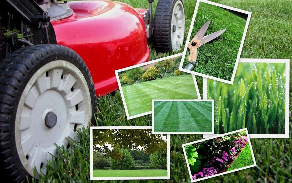 Emerald Lawnscapes | 2706 Lake Ave, Cheverly, MD 20785, USA | Phone: (240) 449-0851
