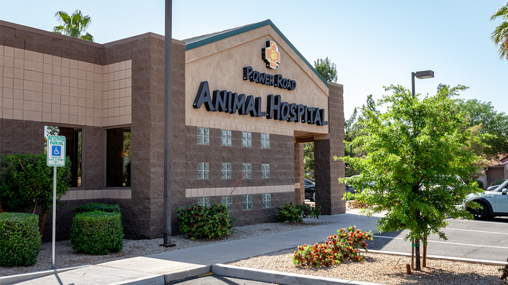 Power Road Animal Hospital | 2333 S Power Rd, Mesa, AZ 85209, USA | Phone: (480) 641-4141