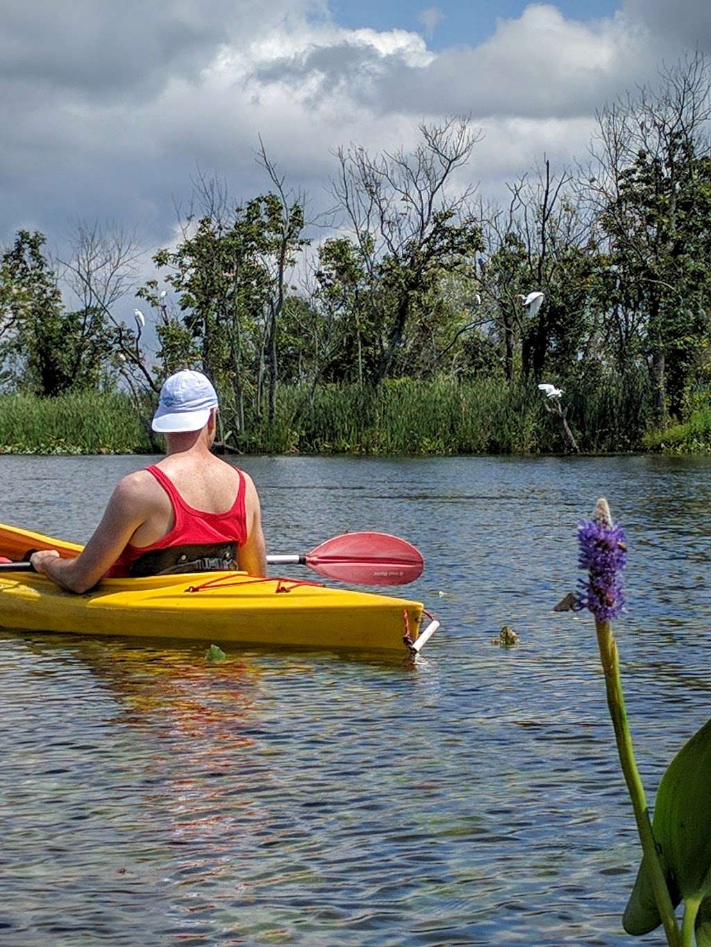 Dyke Marsh Wildlife Preserve | Alexandria, VA 22307, USA | Phone: (703) 235-1530