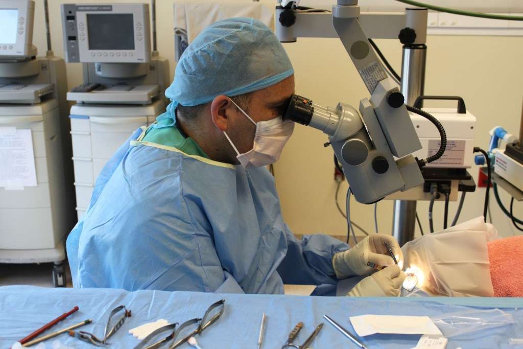 North Houston Veterinary Ophthalmology | 1646 Spring Cypress Rd #116, Spring, TX 77388, USA | Phone: (832) 616-5005