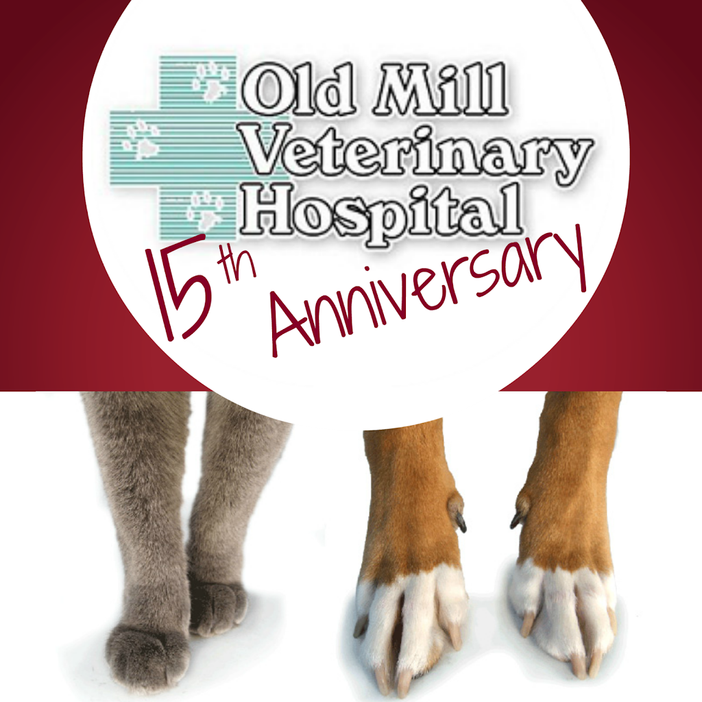 Old Mill Veterinary Hospital | 91 Lawson Rd SE, Leesburg, VA 20175, USA | Phone: (703) 779-2903