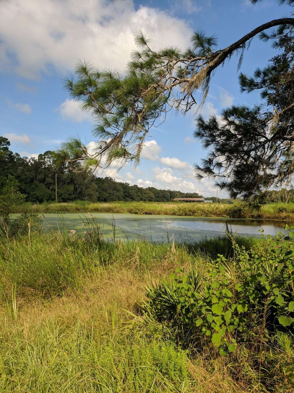 Colt Creek State Park | colt creek, Lakeland, FL 33809, USA | Phone: (863) 815-6761