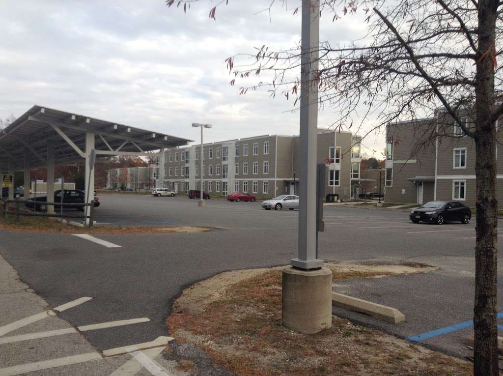 Kerria Lot | Egg Harbor City, NJ 08215, USA