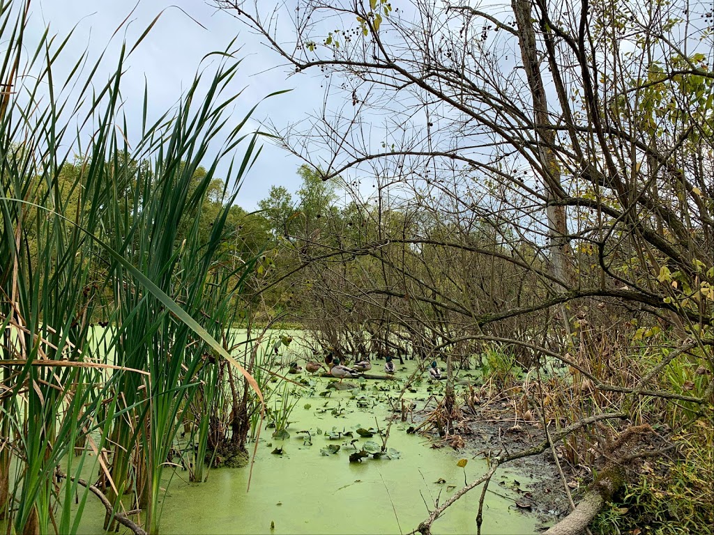 Boyer Nature Preserve | 452 E Park St, Westerville, OH 43081, USA | Phone: (614) 901-6500