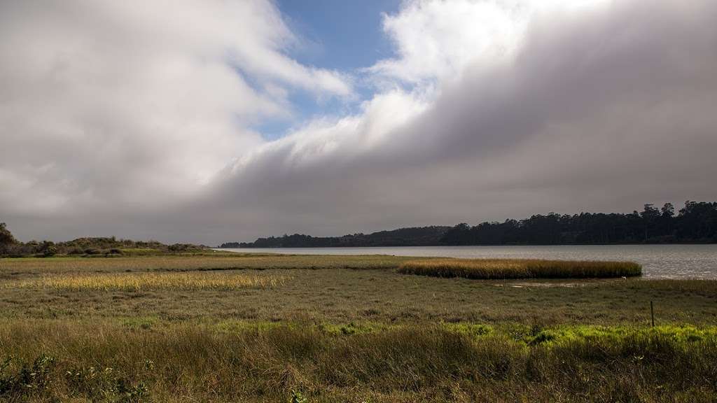 Tomales Bay Ecological Reserve | Point Reyes Station, CA 94956