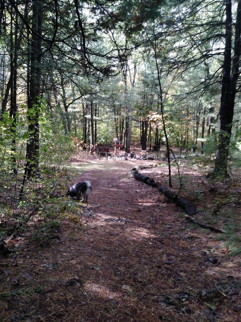 Rockland Town Forest and Conservation Land | North Ave, Rockland, MA 02370 | Phone: (781) 871-0579