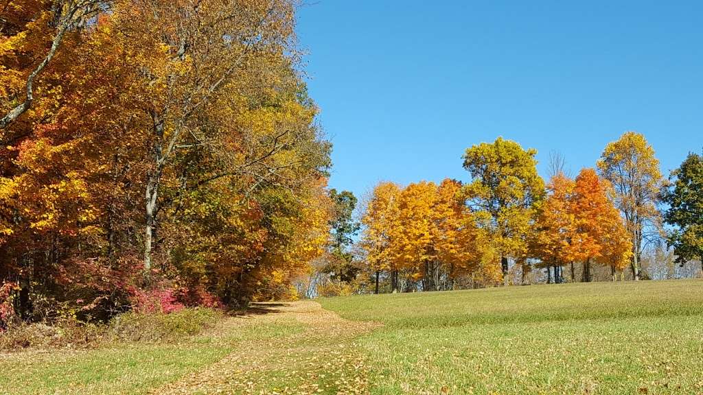 Gurski Farm Open Space | Brookfield, CT 06804, USA