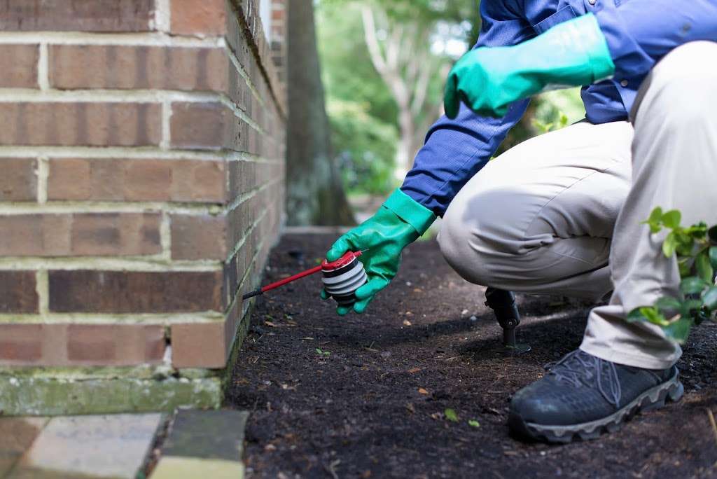 Chem Free Organic Pest Control Houston, TX | 5415 Theall Rd, Houston, TX 77066, USA | Phone: (281) 640-7600