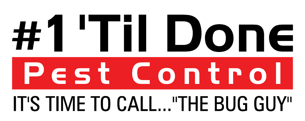 1 Til Done Pest Control | 50 Carey Ave, Butler, NJ 07405 | Phone: (862) 377-8178