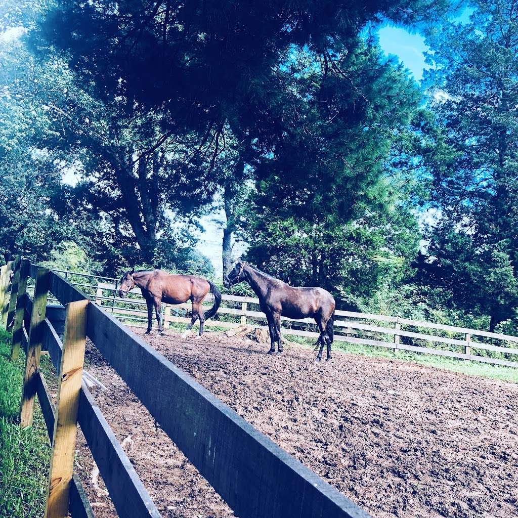 Wheaton Park Stables | 1101 Glenallan Ave, Wheaton-Glenmont, MD 20902, USA | Phone: (301) 622-2424