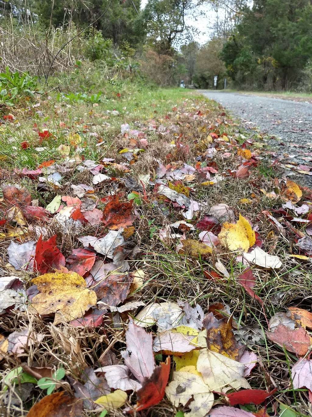 Graterford Trail Head, Perkiomen Trail | 480-488 Gravel Pike, Collegeville, PA 19426, USA