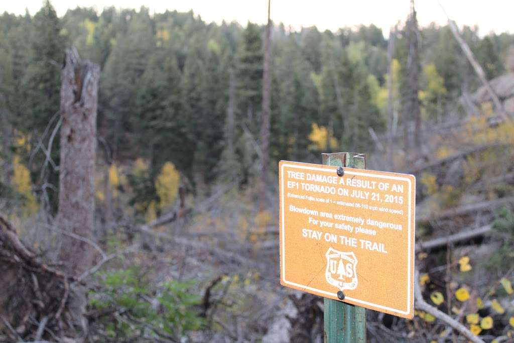 Devils Head Campground | Sedalia, CO 80135, USA