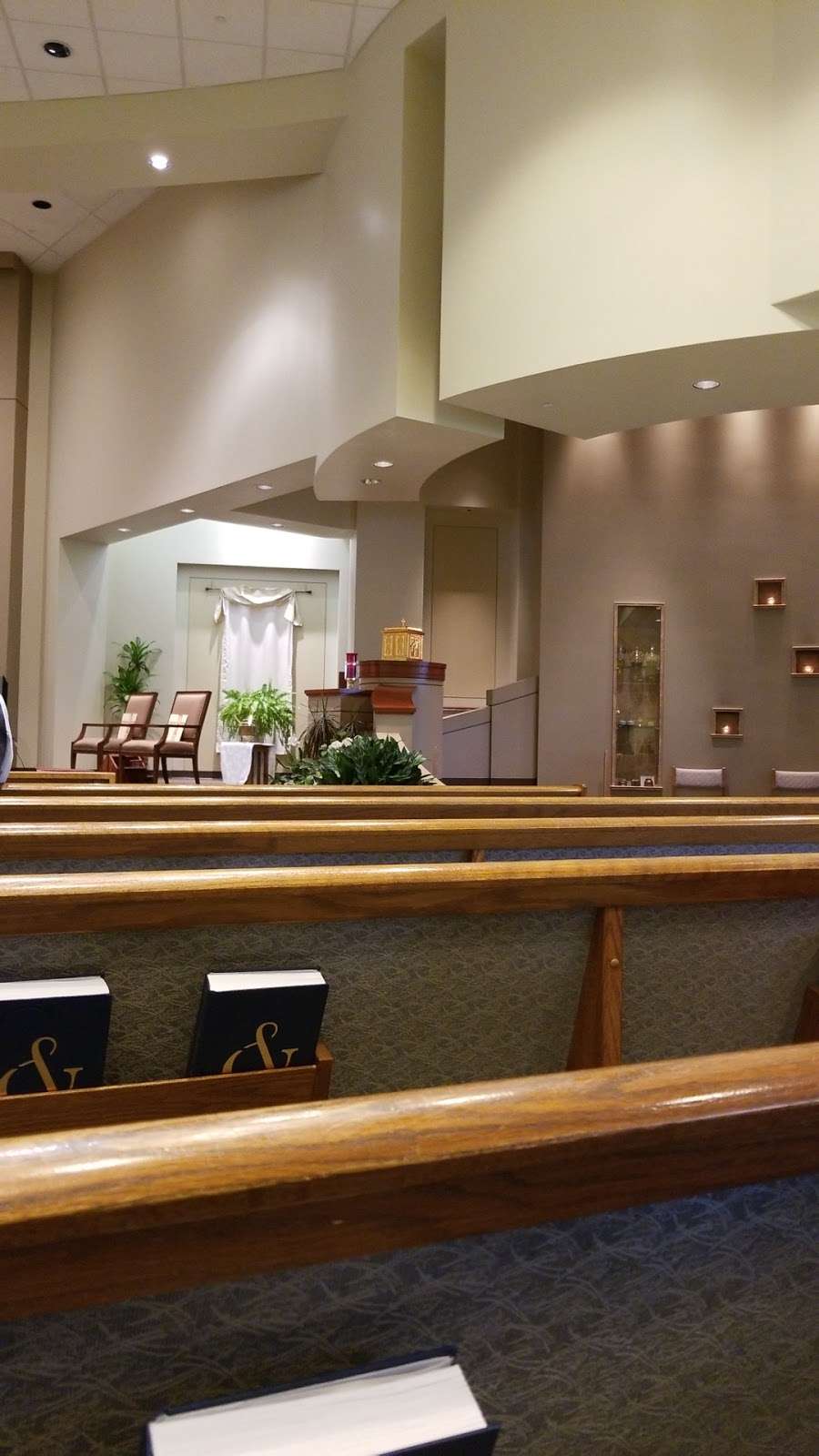 St Edith Stein Catholic Church | 3311 N Fry Rd, Katy, TX 77449, USA | Phone: (281) 492-7500