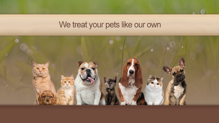 Knoll Animal Hospital | 565 E St Charles Rd, Carol Stream, IL 60188, USA | Phone: (630) 668-1748