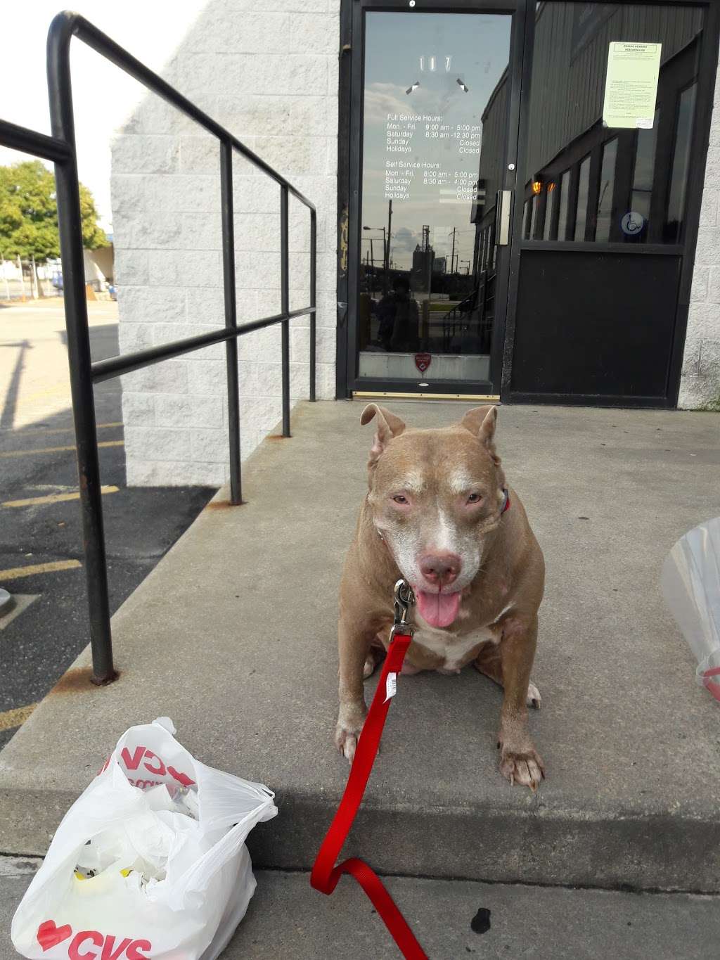 PAWS Spay/Neuter and Wellness Clinic | 2900 Grays Ferry Ave, Philadelphia, PA 19146, USA | Phone: (215) 298-9680