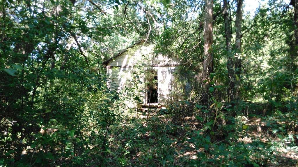 Good News Baskets & Gifts | 1272 Shellee Dr, Conroe, TX 77303, USA | Phone: (936) 718-7585