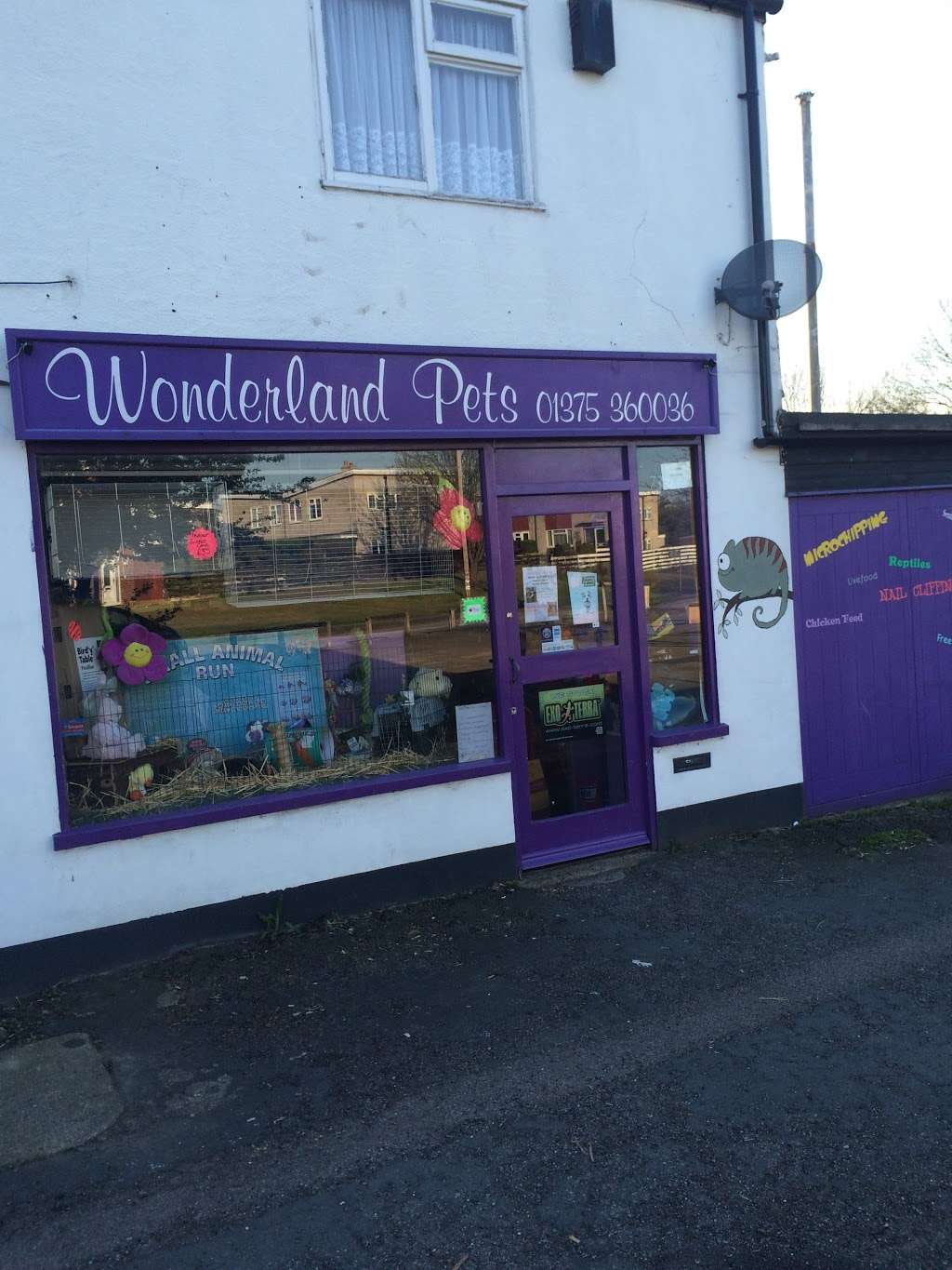 Wonderland Pets | 73 Southend Rd, Stanford-le-Hope SS17 0PQ, UK | Phone: 01375 360036
