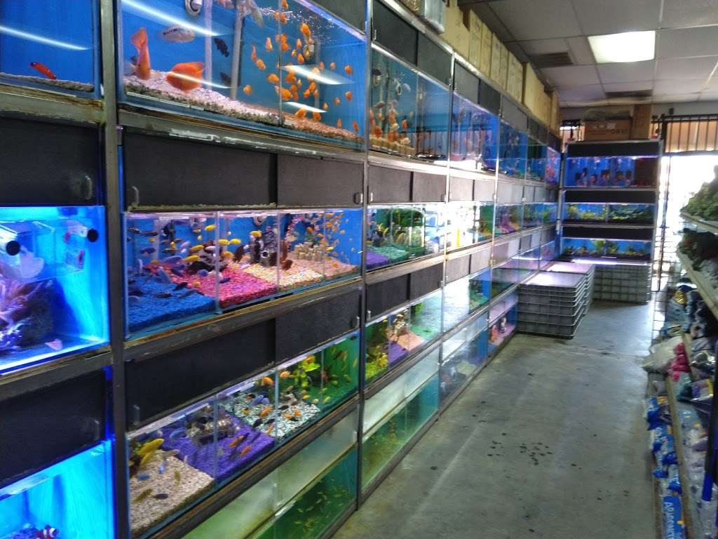 Hong Kong Tropical Fish | 18828 Norwalk Blvd, Artesia, CA 90701, USA | Phone: (562) 402-7128