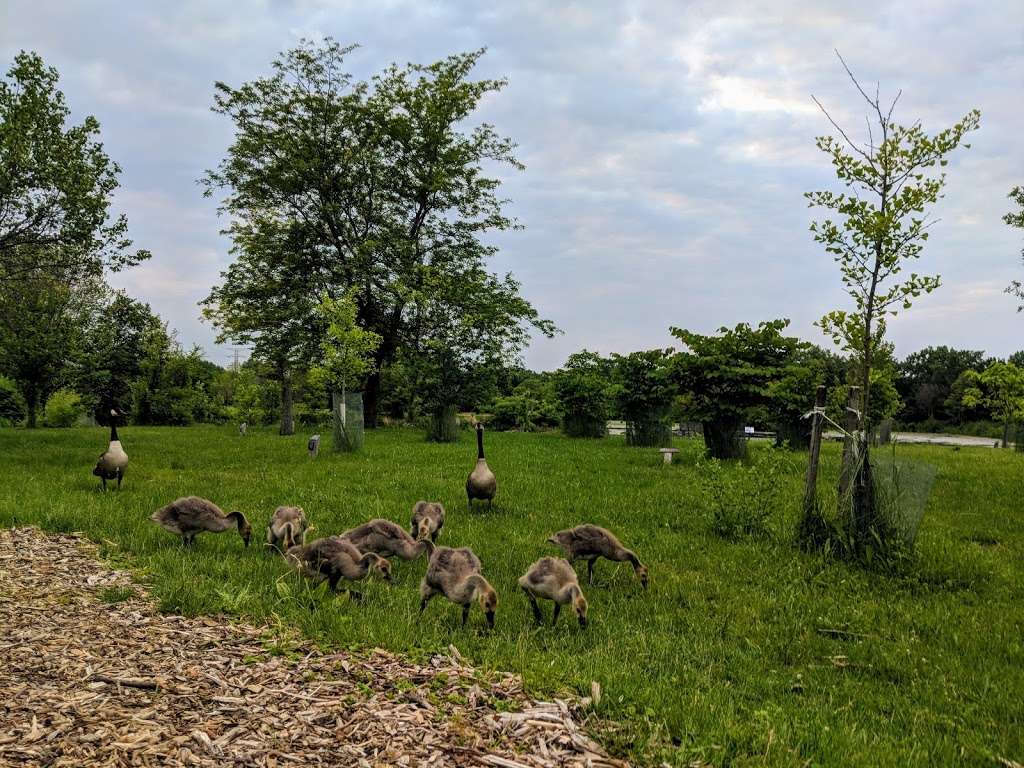 Lake Katherine Nature Center and Botanic Gardens | 7402 Lake Katherine Dr, Palos Heights, IL 60463 | Phone: (708) 361-1873